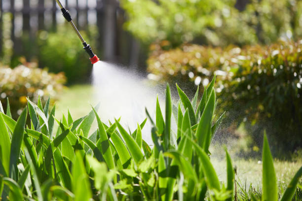 24/7 Emergency Wasp Removal experts in LaFayette, GA
