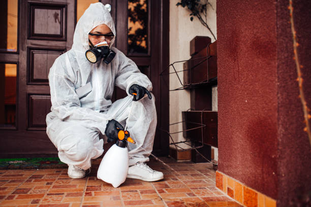 Reliable Wasp Removal contractor in LaFayette, GA by Show Me Pest Control