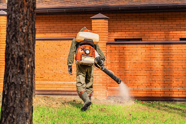 Top rated local Wasp Removal specialists in LaFayette, GA